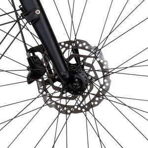 Rabeneick TS5 Disc Cues Kettenschaltung